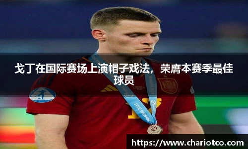 戈丁在国际赛场上演帽子戏法，荣膺本赛季最佳球员