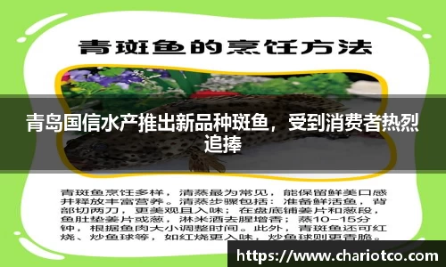 青岛国信水产推出新品种斑鱼，受到消费者热烈追捧