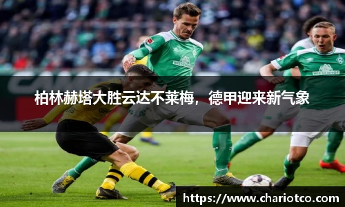 55世纪网址