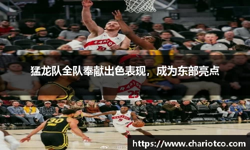 猛龙队全队奉献出色表现，成为东部亮点
