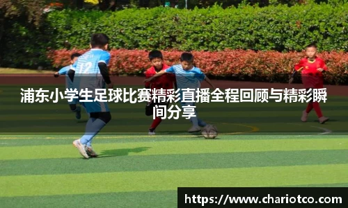 浦东小学生足球比赛精彩直播全程回顾与精彩瞬间分享